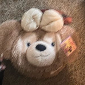 Tokyo Disney Backpack/purse